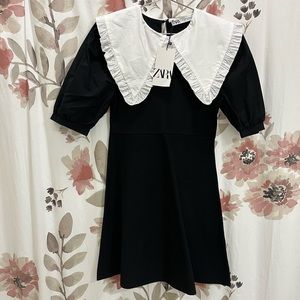 NWT Zara knit dress, peter pan collar